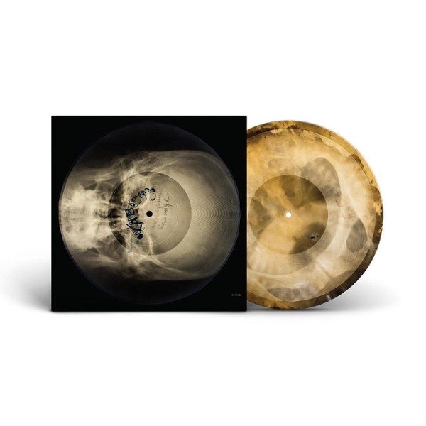 SYLVIAN, DAVID | THE DISTANCE BETWEEN THE KILLER AND THE KILLING - PICTURE DISC (LP)